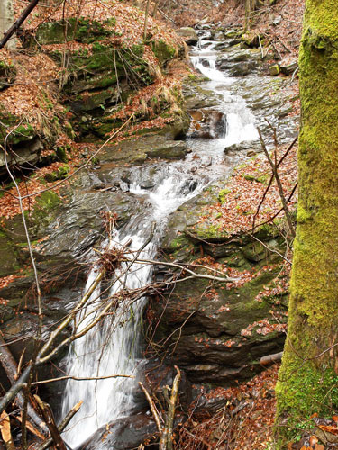 Foto Cascada Valea Sturului (c) Petru Goja